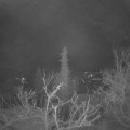Webcam_20220212-053000