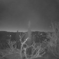 Webcam_20220212-063000