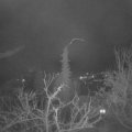 Webcam_20220215-063000