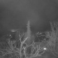 Webcam_20220216-054500