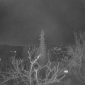 Webcam_20220308-053000