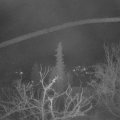 Webcam_20220311-050000