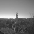 Webcam_20220313-060000