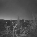 Webcam_20220324-051500