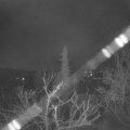Webcam_20220325-050000