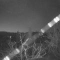 Webcam_20220325-051500