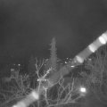 Webcam_20220325-200000