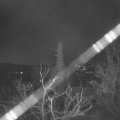 Webcam_20220326-050000