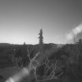 Webcam_20220326-053000