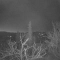 Webcam_20220327-050000