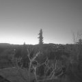 Webcam_20220327-053000