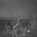 Webcam_20220329-051500