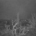 Webcam_20220330-053000