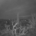 Webcam_20220331-051500
