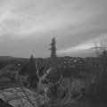 Webcam_20220331-053000