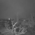 Webcam_20220402-061500