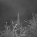 Webcam_20220403-050000