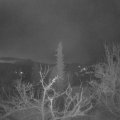 Webcam_20220403-054500