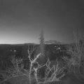 Webcam_20220403-060000