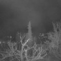 Webcam_20220407-050000