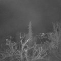 Webcam_20220408-213000