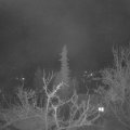 Webcam_20220410-050000