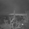 Webcam_20220410-054500