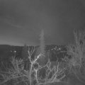 Webcam_20220411-053000