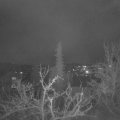 Webcam_20220412-211500