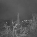 Webcam_20220412-214500