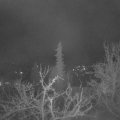 Webcam_20220413-050000