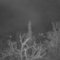 Webcam_20220413-051500
