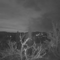 Webcam_20220413-054500