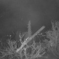 Webcam_20220414-051500