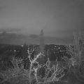 Webcam_20220414-054500