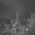 Webcam_20220415-051500