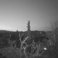 Webcam_20220415-054500