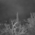 Webcam_20220416-050000