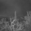 Webcam_20220417-050000
