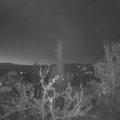 Webcam_20220417-051500