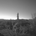 Webcam_20220417-054500