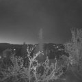 Webcam_20220418-051500