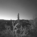 Webcam_20220420-053000