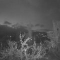 Webcam_20220422-051500