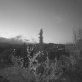 Webcam_20220422-053000