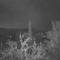Webcam_20220423-050000