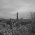 Webcam_20220426-054500
