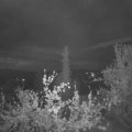 Webcam_20220501-050000