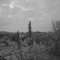 Webcam_20220503-053000