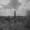 Webcam_20220504-053000